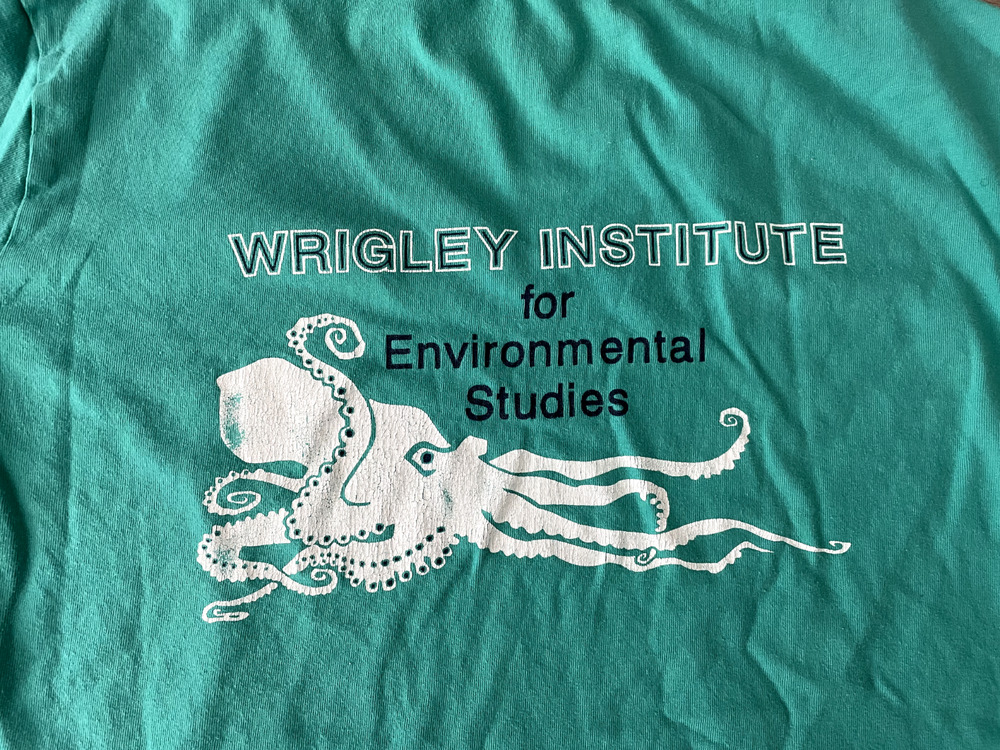 USC Wrigley Institute Environmental Studies Long Sleeve Shirt Teal Large Vtg